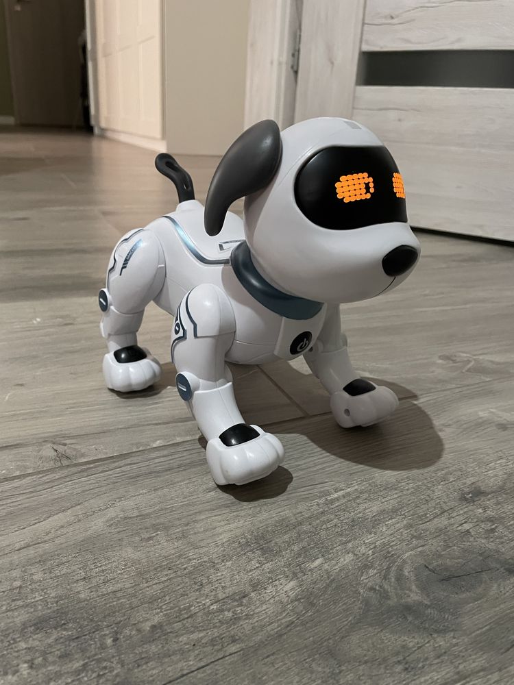 Interaktwny pies robot