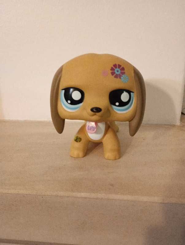 Littlest pet shop