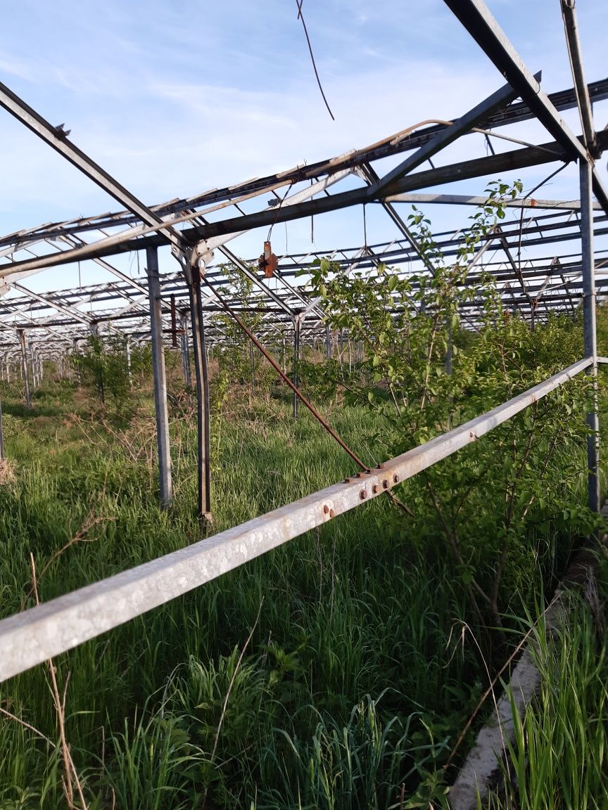 Оренда- продаж теплиці Антрацит.
