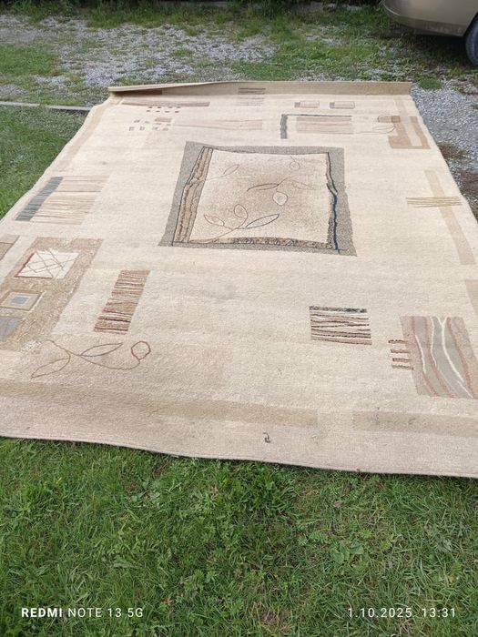 Dywan oddam za darmo 240x330