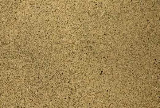 Proso od Rolnika – Sprzedaż Bezpośrednia