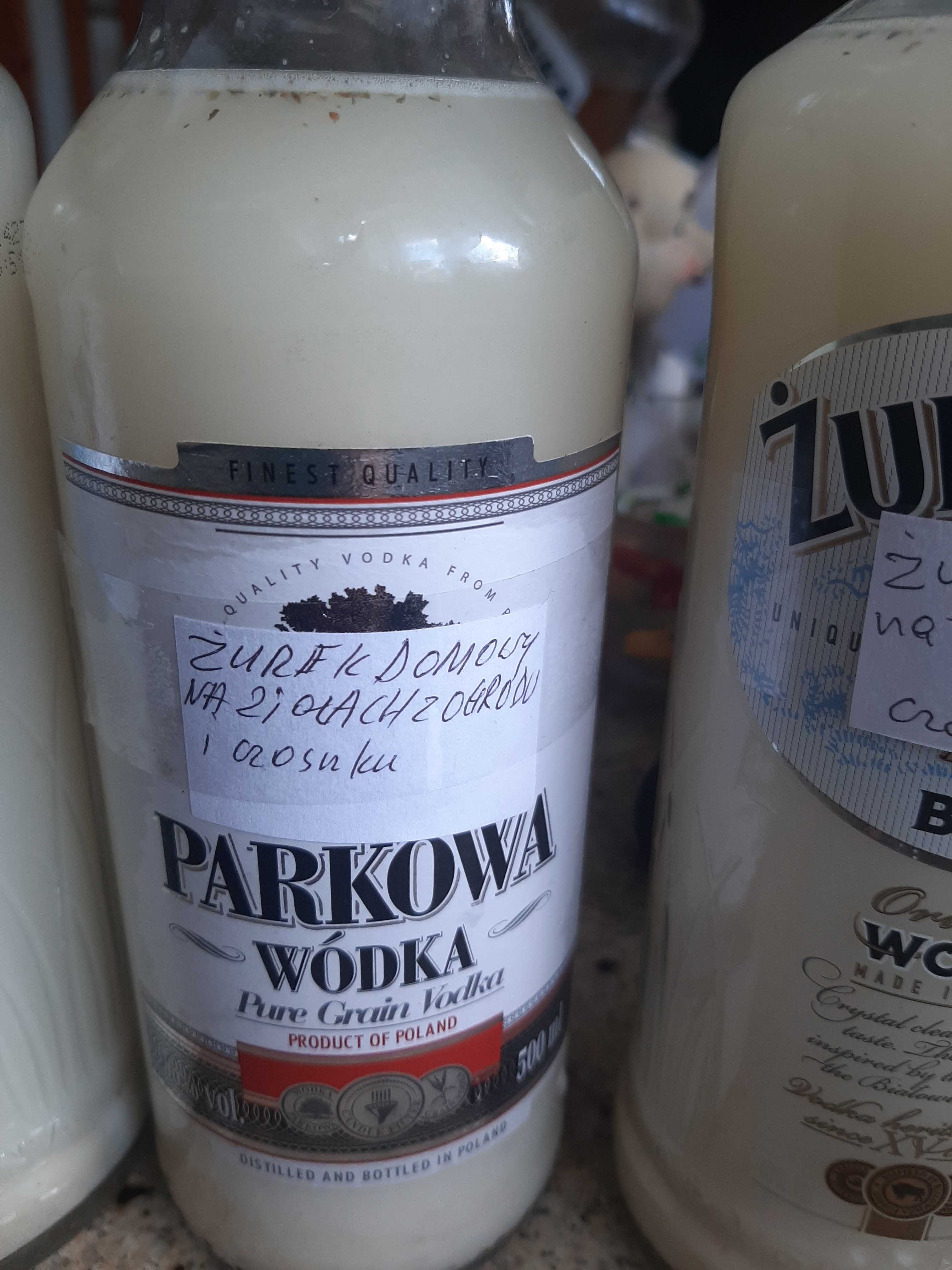 żurek domowy na wodzie brzozowej i ziołach