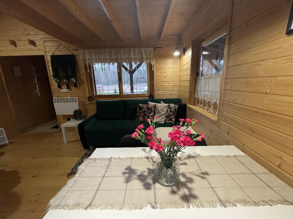 Domek drewniany z kominkiem, SAUNA