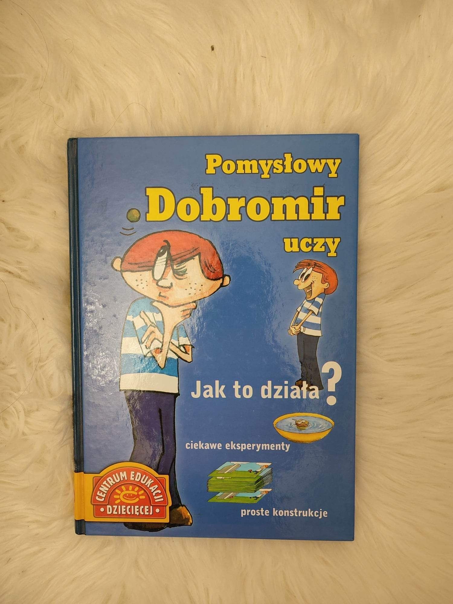 "Pomysłowy Dobromir uczy. Jak to działa?"
