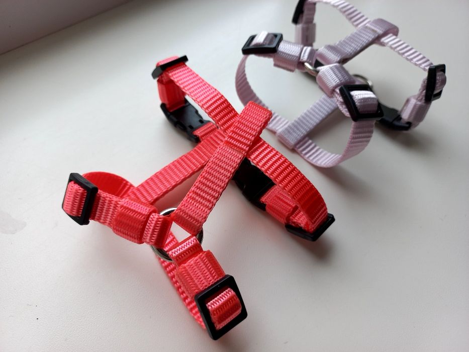 Шлея для собак XS - S