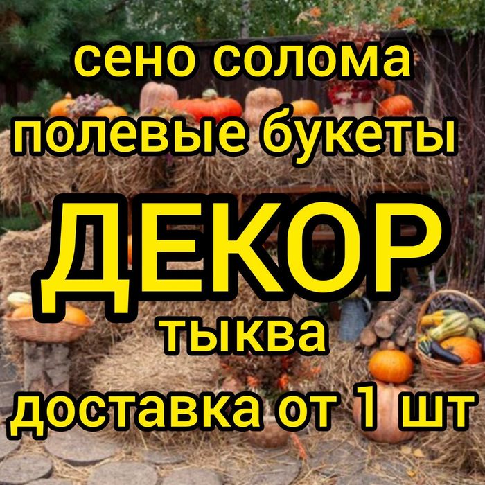 СЕНО ДЕКОР С ДОСТАВКОЙ от 1 шт в тюках мешках, сіно горное.