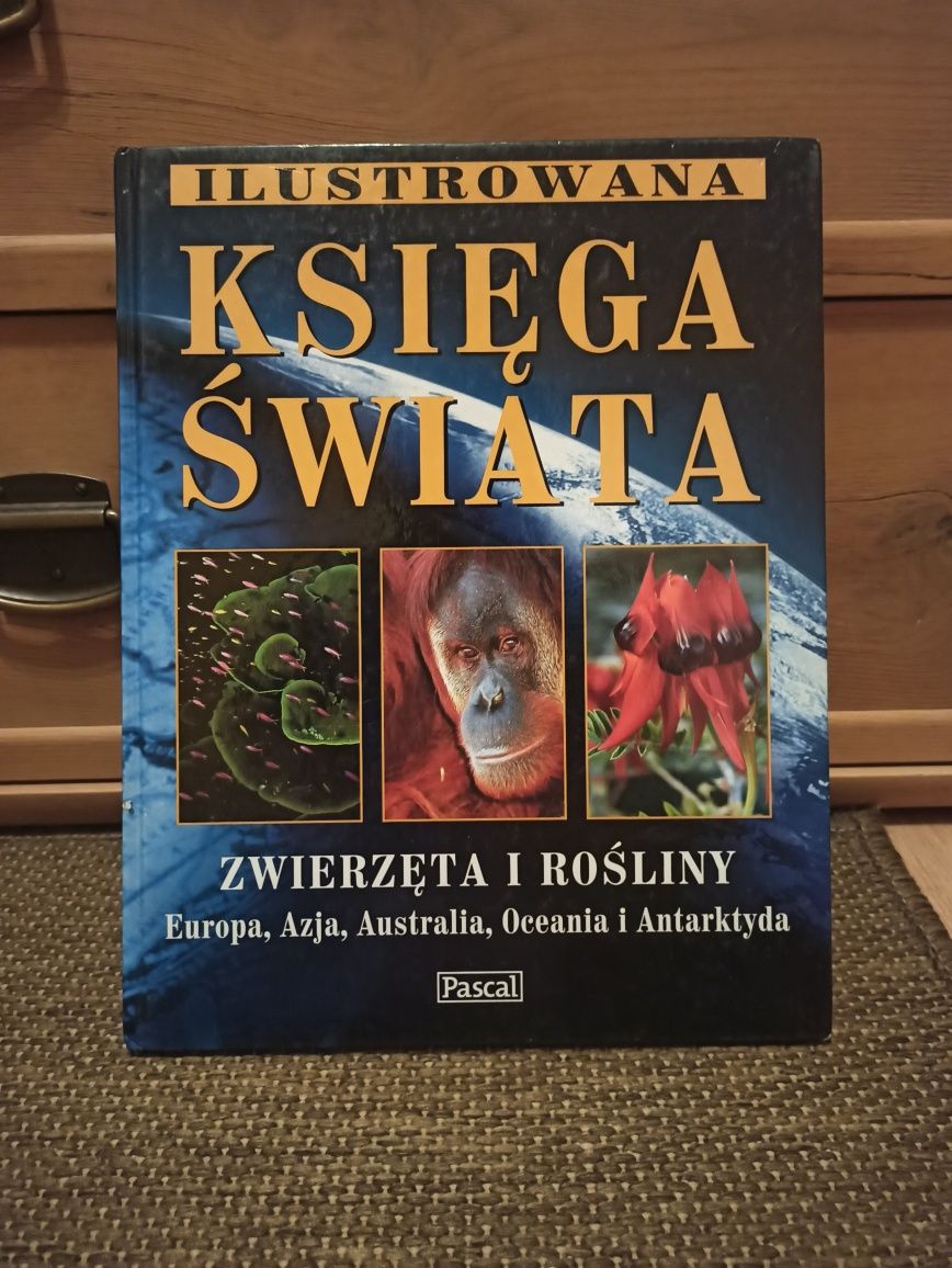 Ilustrowana Księga Świata