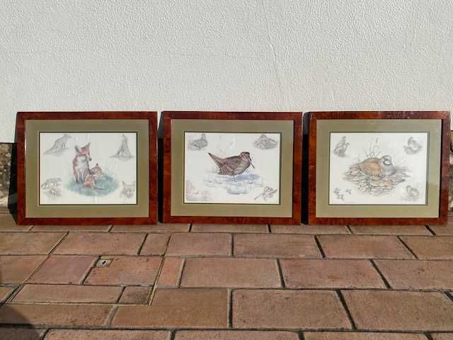 Conjunto de  3 gravuras emolduradas com motivos de caça