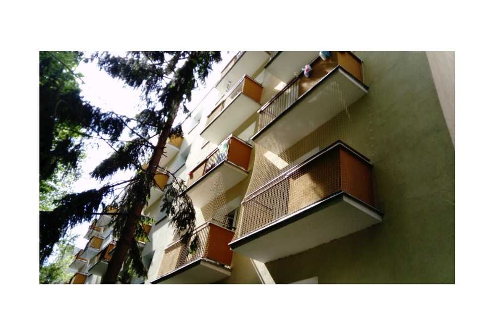 ZESTAW SIATKA NA BALKON Dla Kota Gołębie Ptaki 6X3m 50mm
