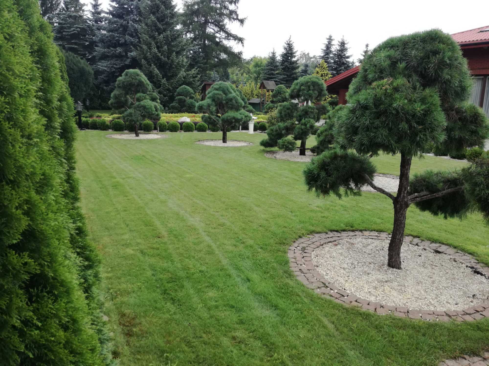 Firma Ogrodnicza "Mazurek" - Zakładanie ogrodów, pielęgnacja ogrodów