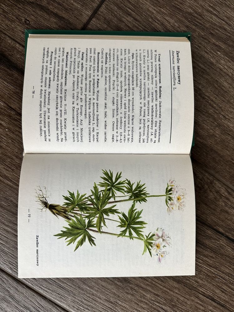 Atlas roślin chronionych - Jan Walas