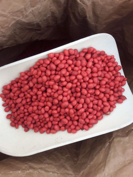 Насіння сої ABBE, ГМО, ЕЛІТА, трансгенний сорт