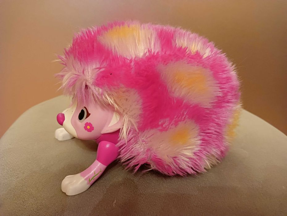 Jeż zoomer Proszę dzwonić lub sms