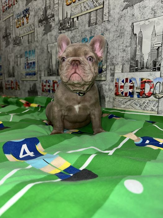 Топ якість хлопчик