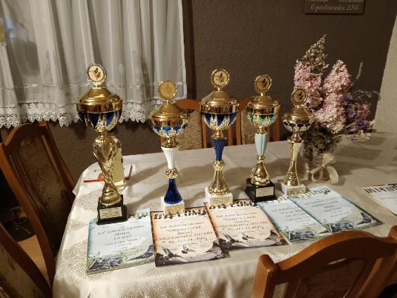 Sprzedam gołębie pocztowe