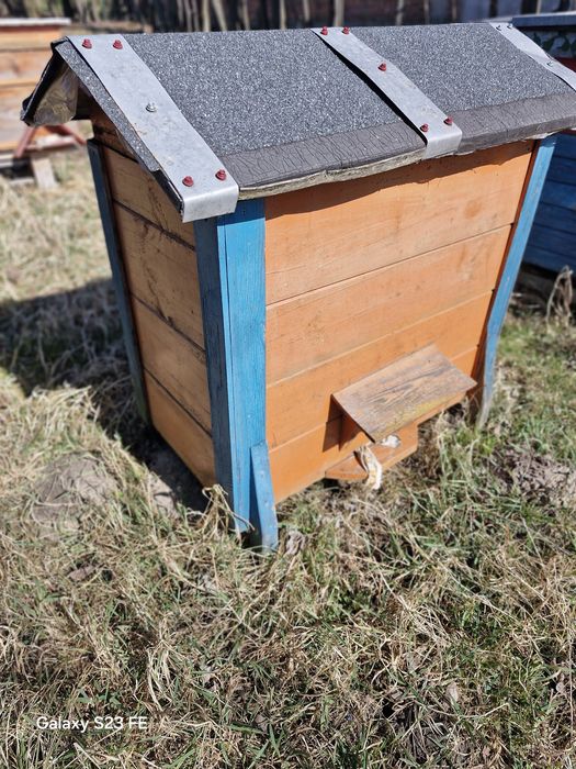 Ule warszawskie ,dadant