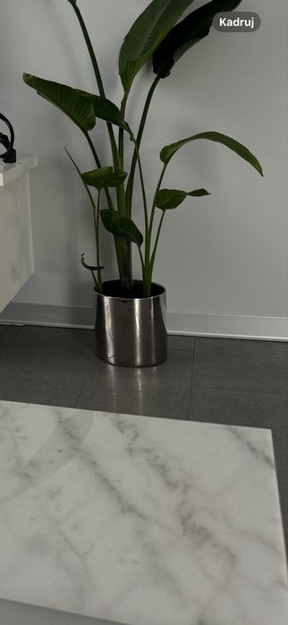 Duża srebrna donica