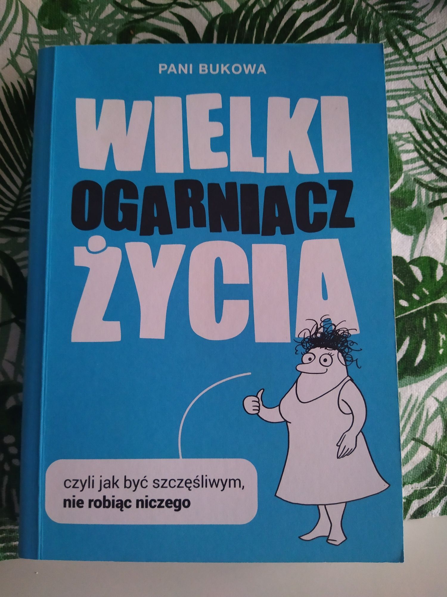 Książka Wielki ogarniacz życia stan idealny