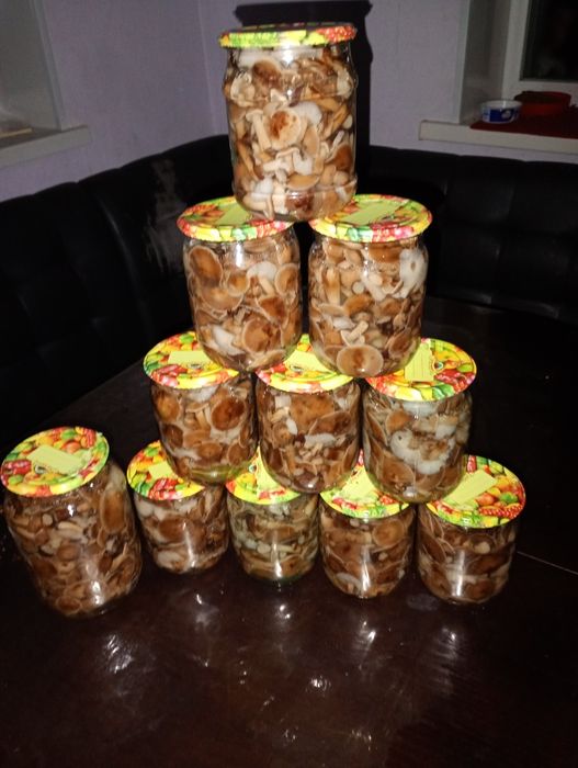 Опеньки консервовані