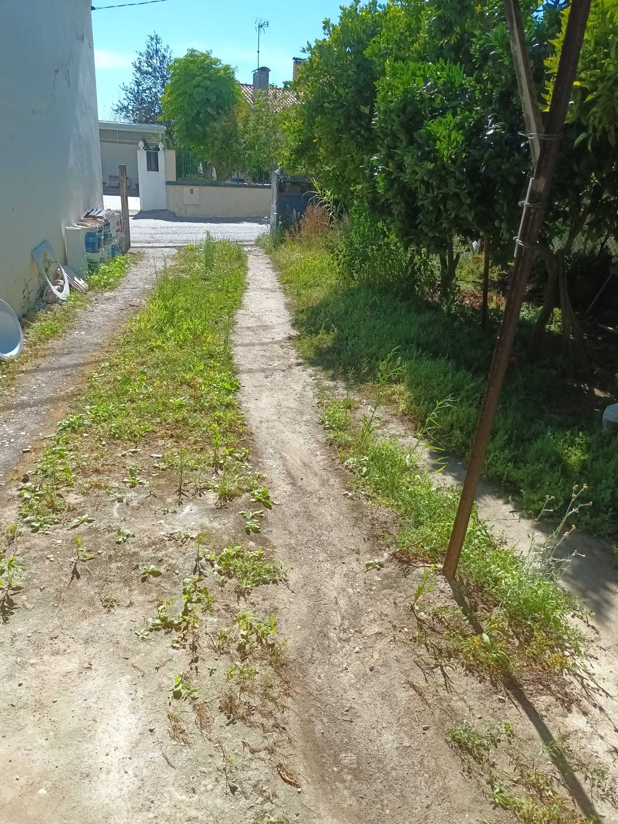 Limpeza de terrenos e jardinagem