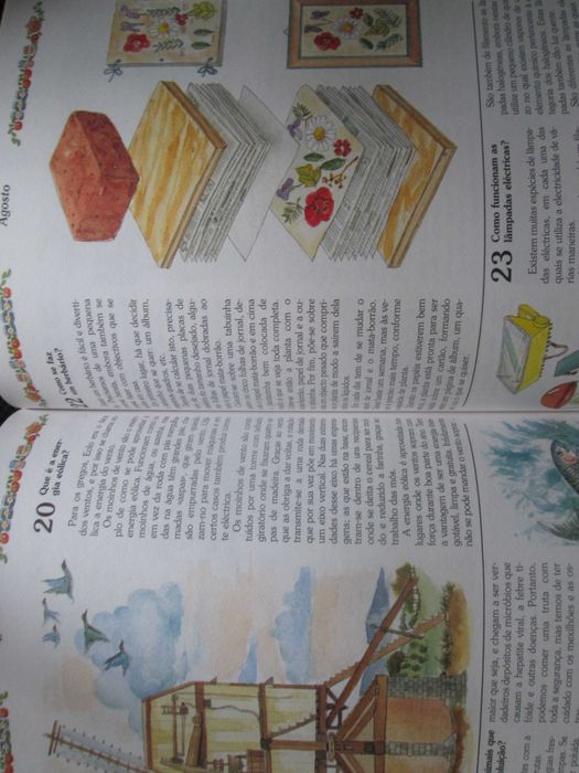 366 Perguntas e Respostas, novo