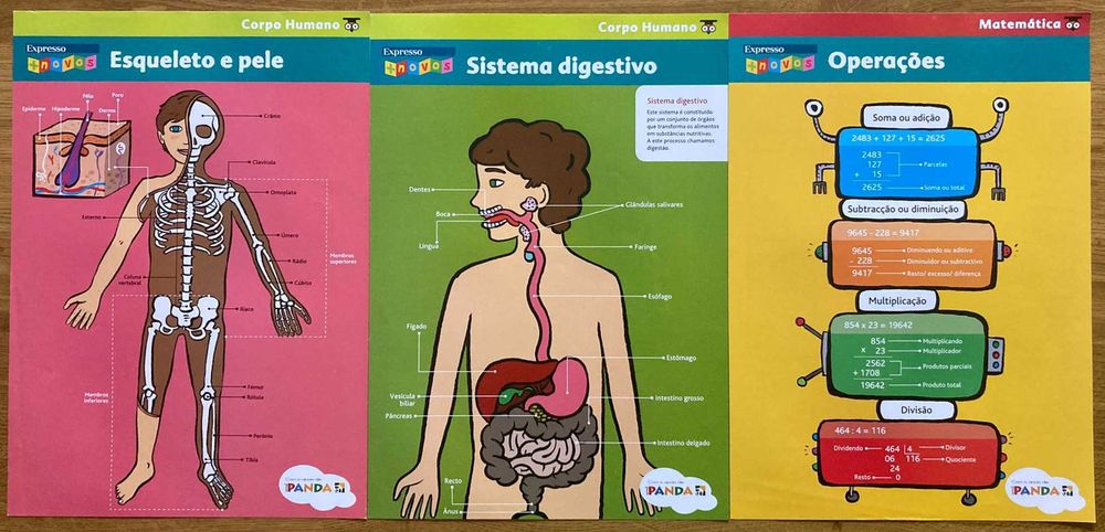 Conjunto de 15 Pósteres Escolares