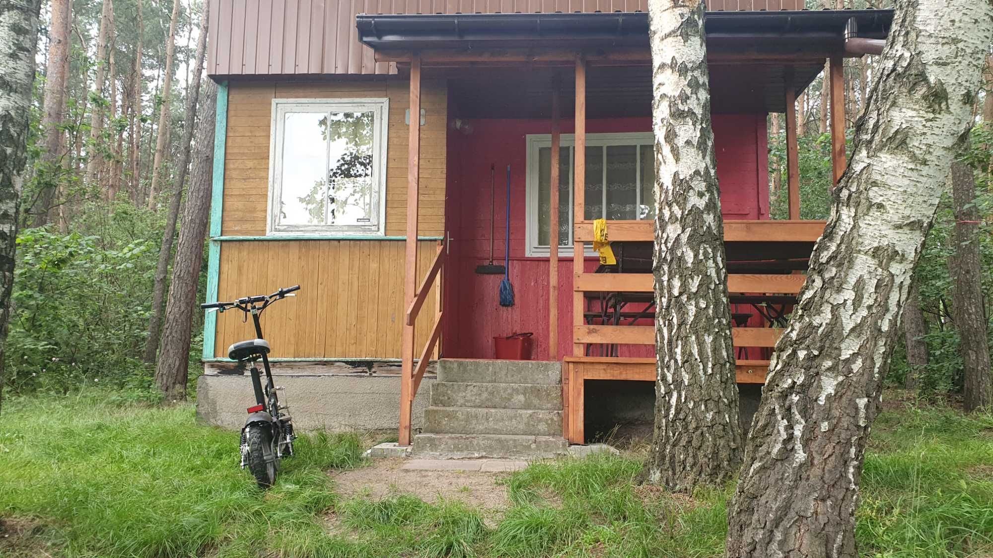 Tani urlop. Domki kempingowe. Łowsko komercyjne. Stawy.