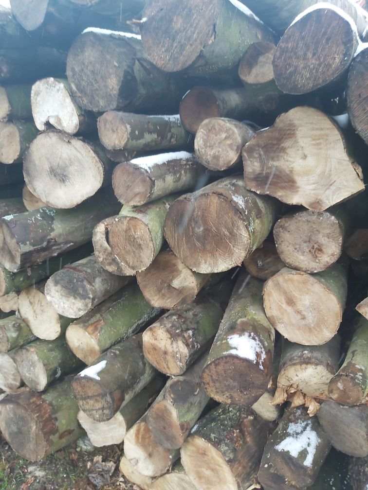 Drewno do ogrzewania domu