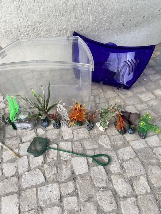 Aquario Para peixe