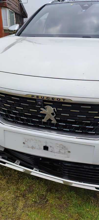 Peugeot       3008