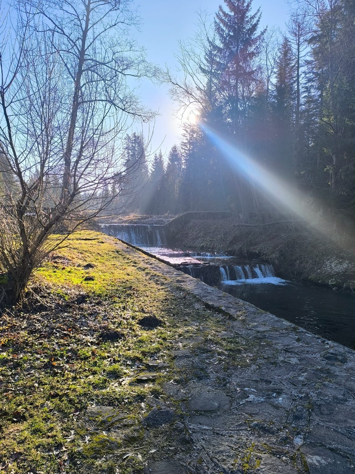Sprzedam działkę budowlaną w Beskidach
