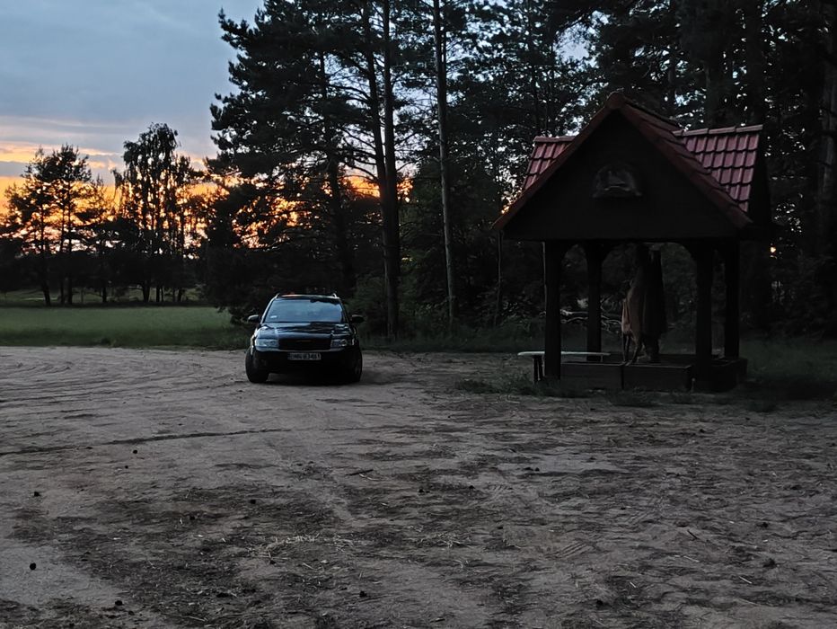 Transport osób na imprezy i lotniska