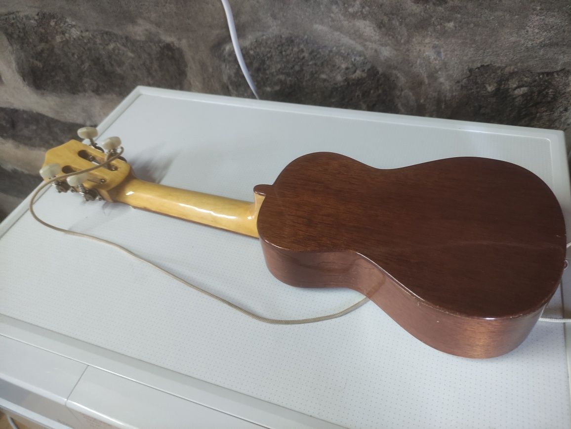 Cavaquinho APC 102