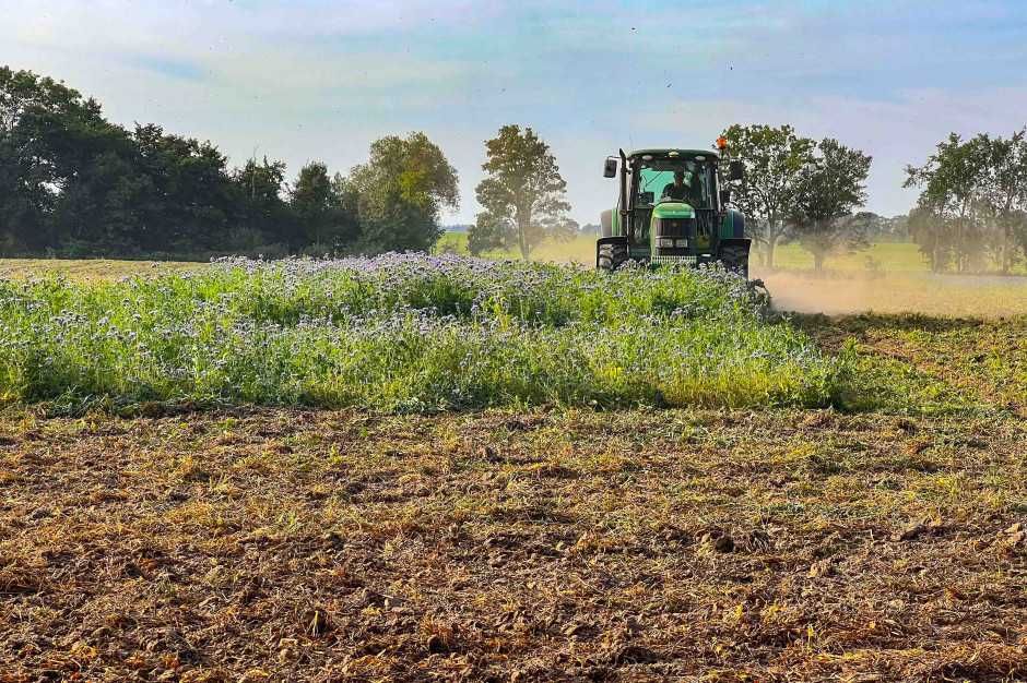 Mulczowanie koszenie traw łąk nieużytków kukurydzy
