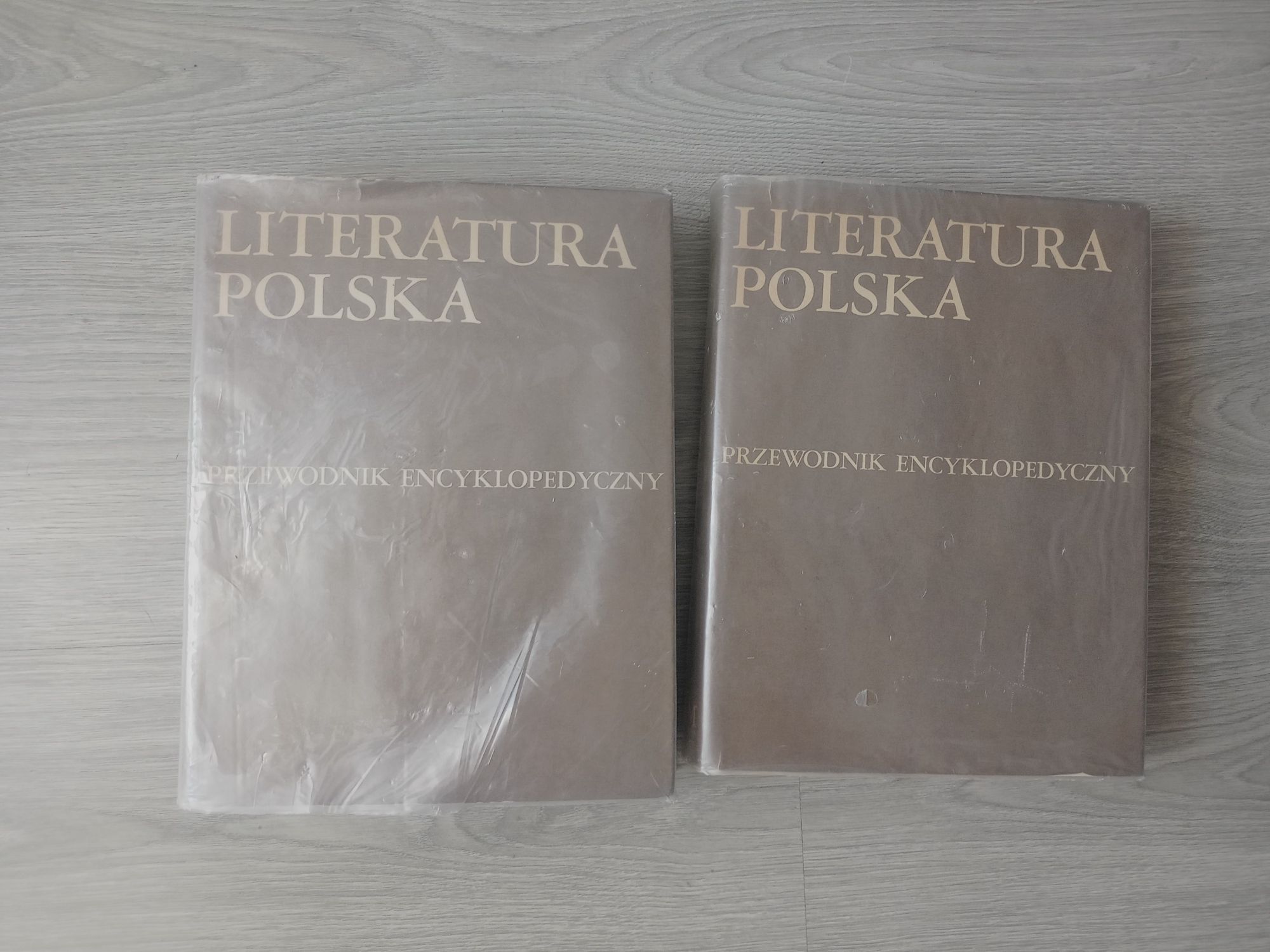 Literatura Polska PWN przewodnik encyklopedyczny
