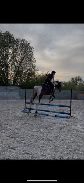 Wspóldzierzawa konia - wicher