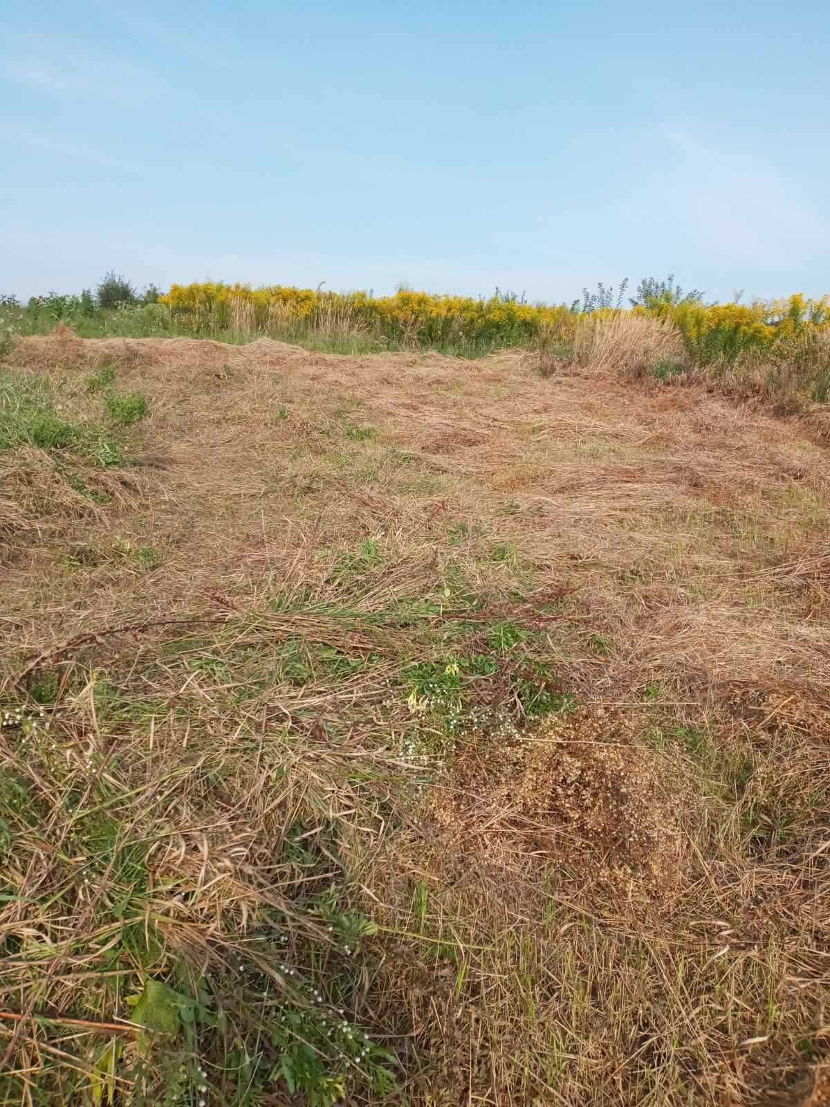 Продаж земельної ділянки в Дублянах