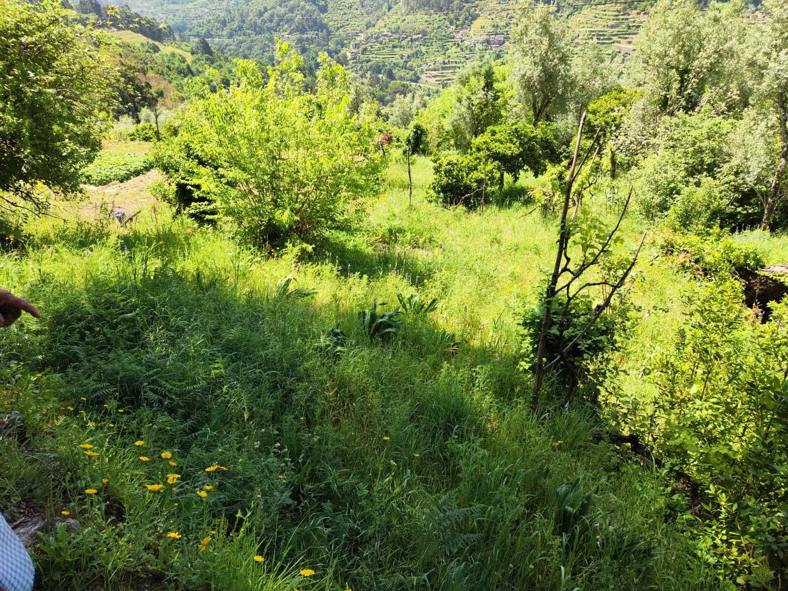 vende-se imóvel/terreno