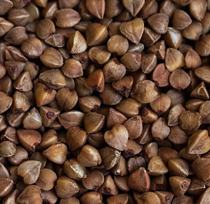 Nasiona gryki gryka gryka do siania dla pszczol