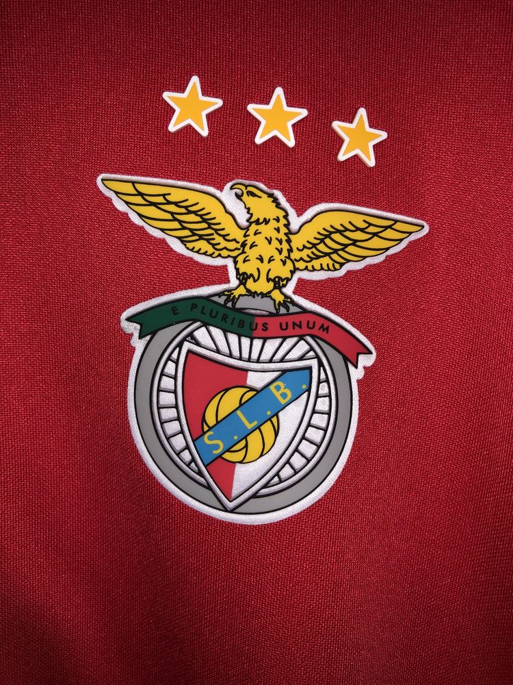 Fato de treino Benfica