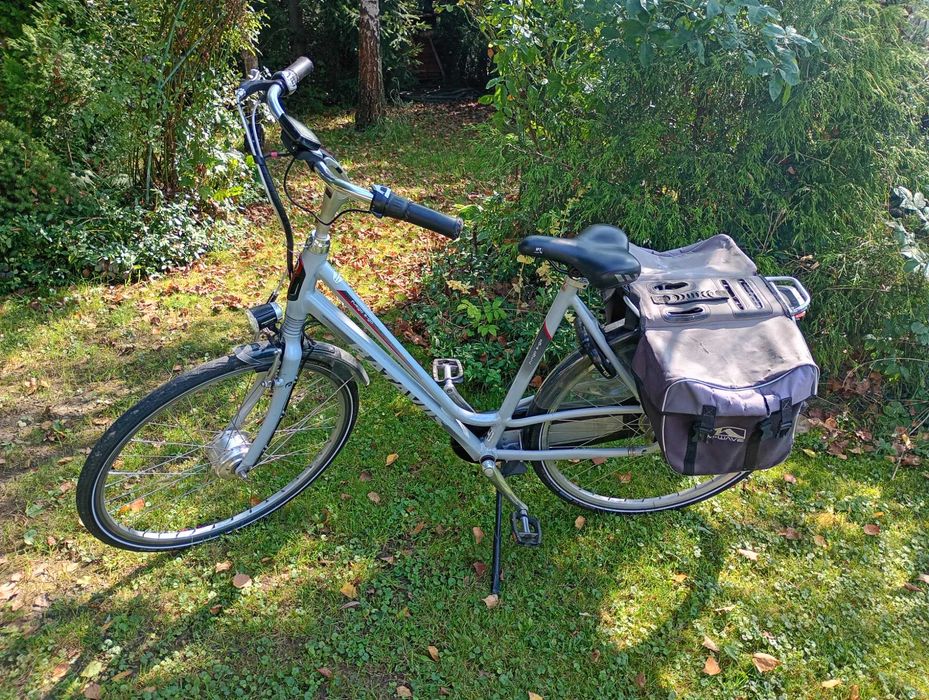 Rower elektryczny Batavus fuego e-go