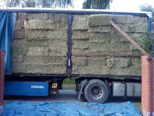 Продам сено недорого.в тюках.
