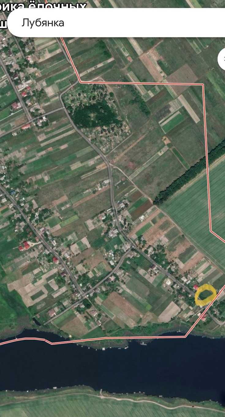 Продаж ділянка с Луб'янка 17 сот під забудову Бучанський Бородянський