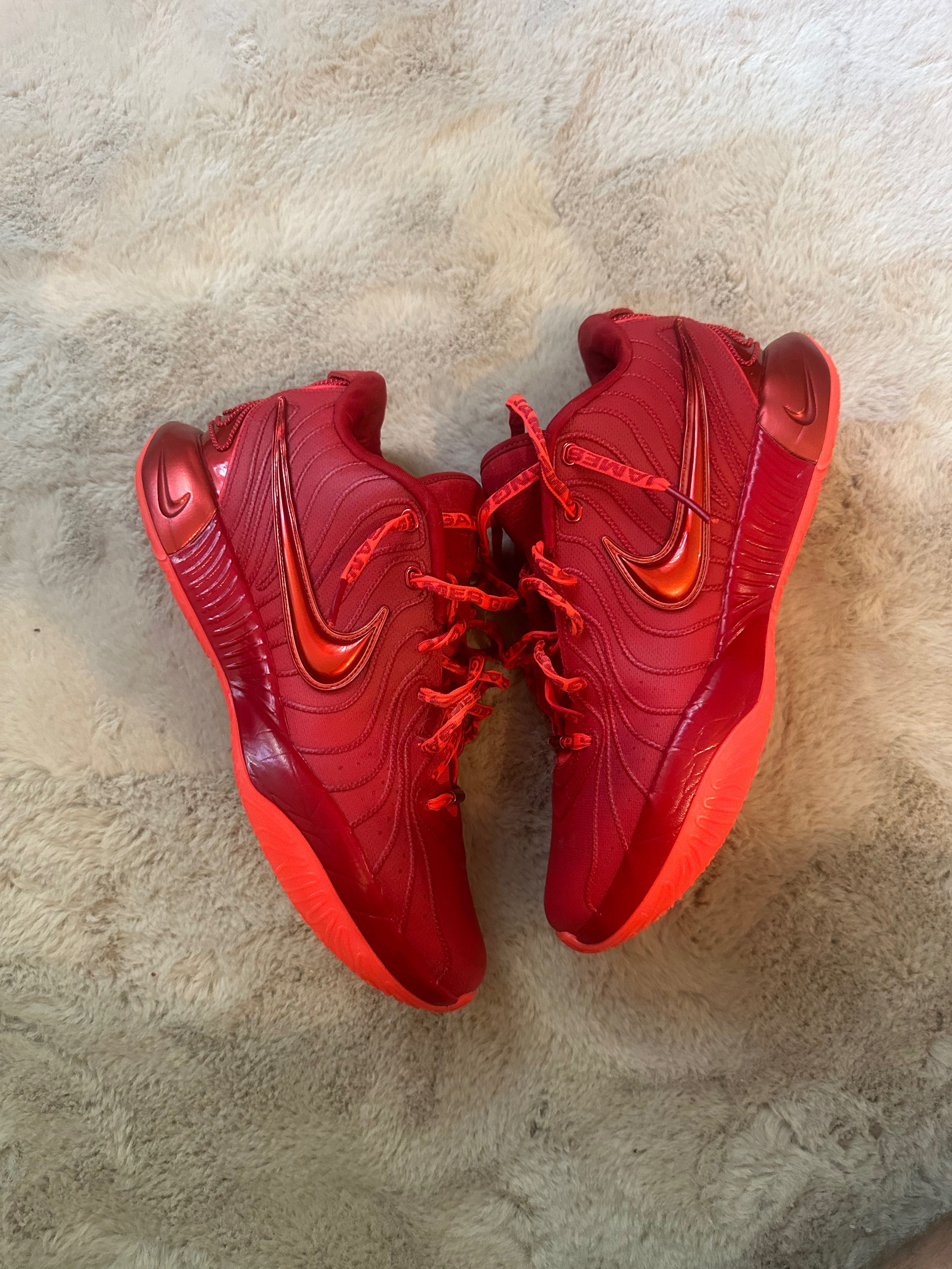 Nike LeBron 21 James Gang