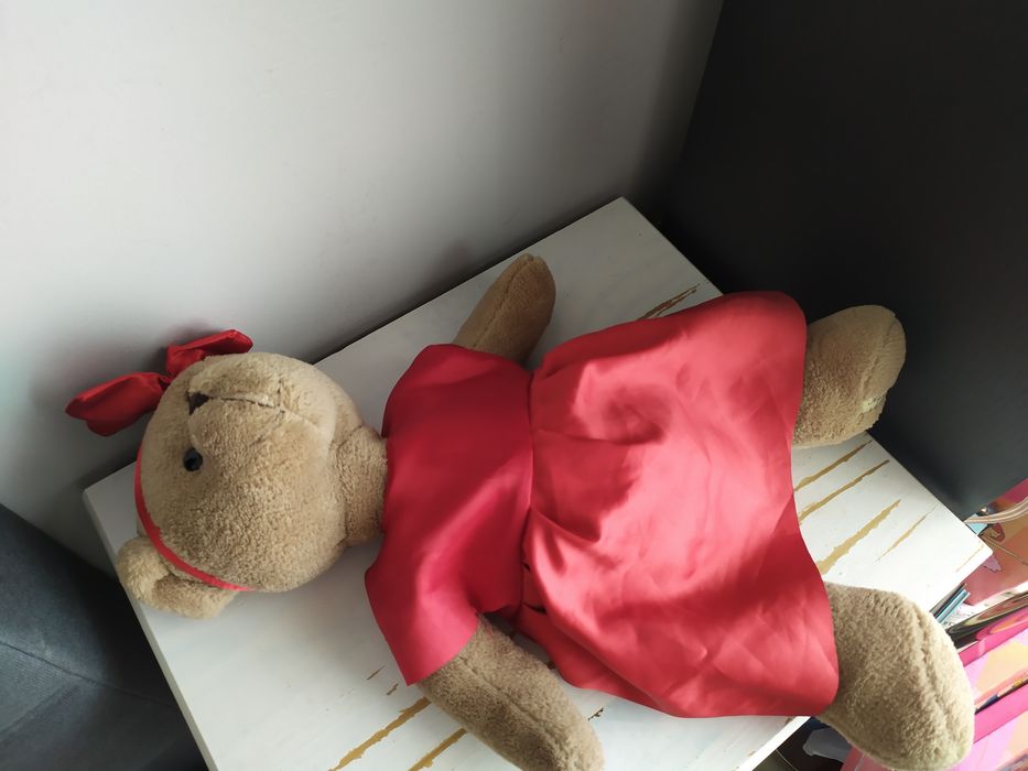 Kup Misia 2022 Aga podaruj miś maskotka Tvn