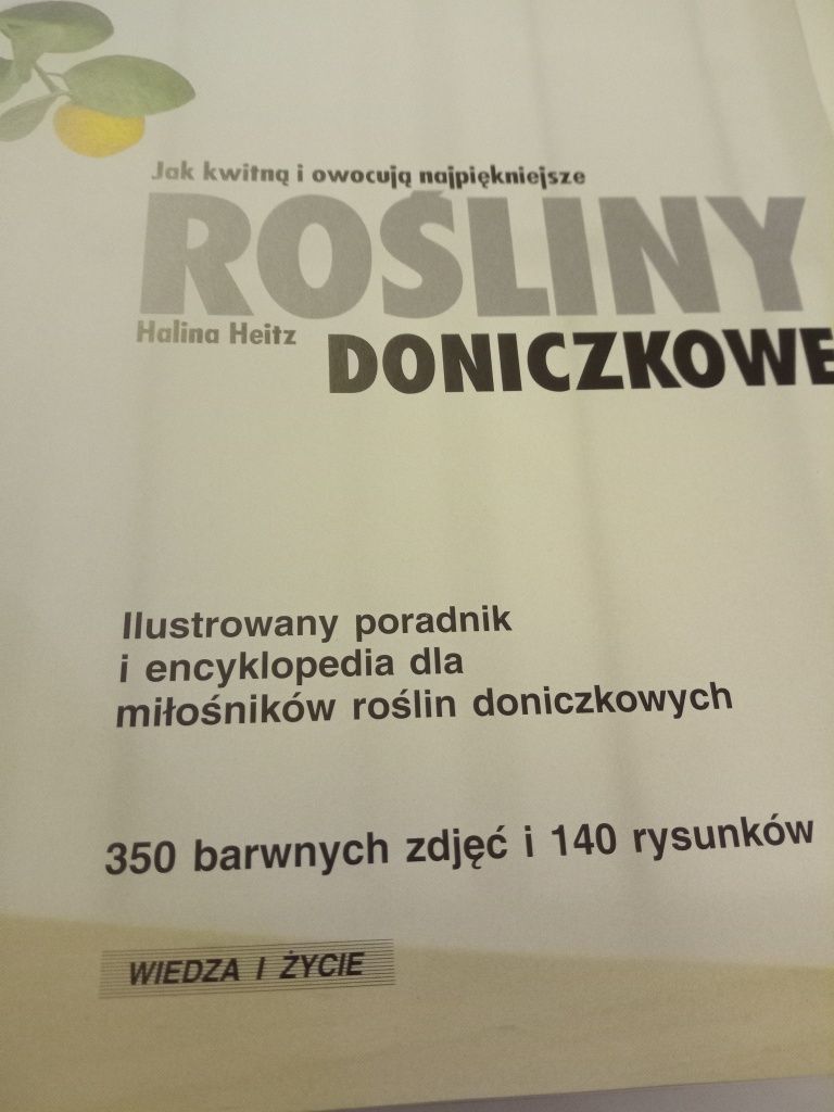 Jak kwitną i owocują najpiękniejsze rośliny doniczkowe