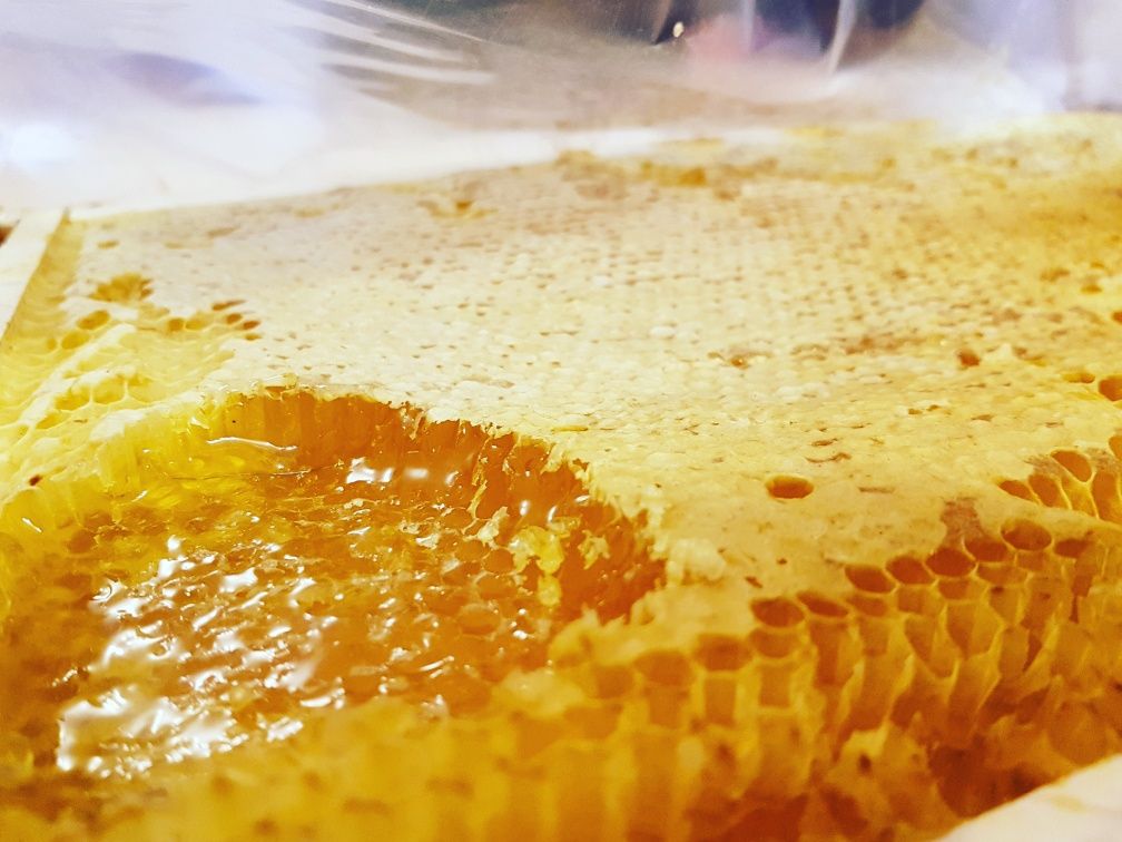 Miód z pasieki ekologicznej 1.3kg