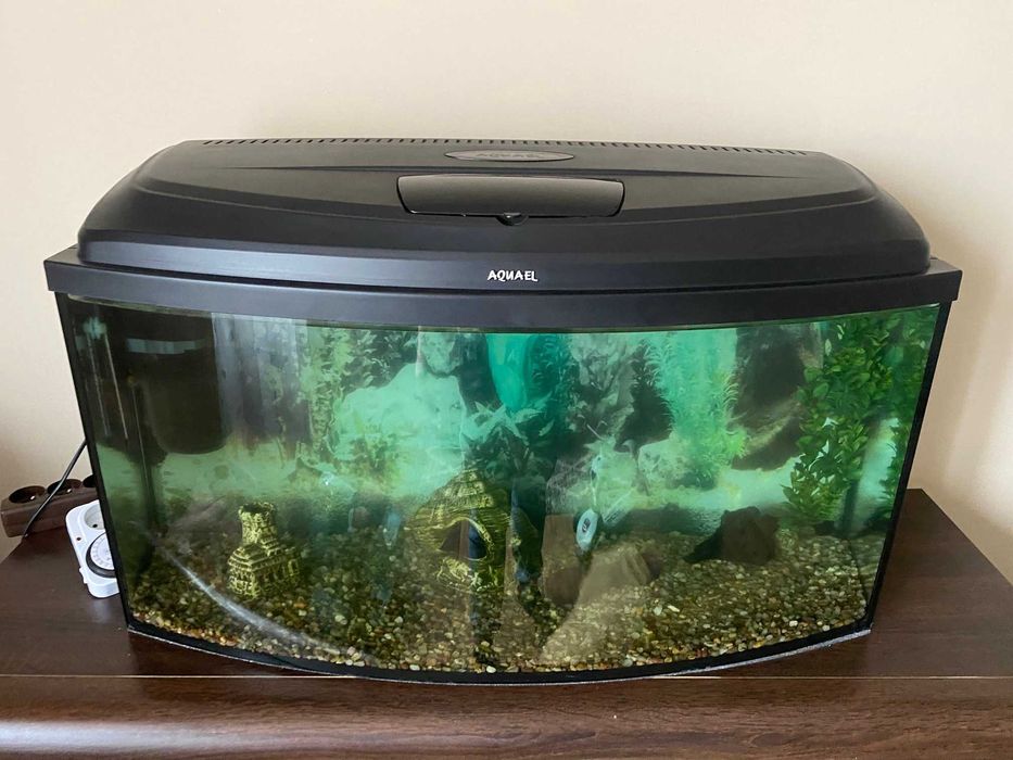 akwarium Aquael owalne 112l