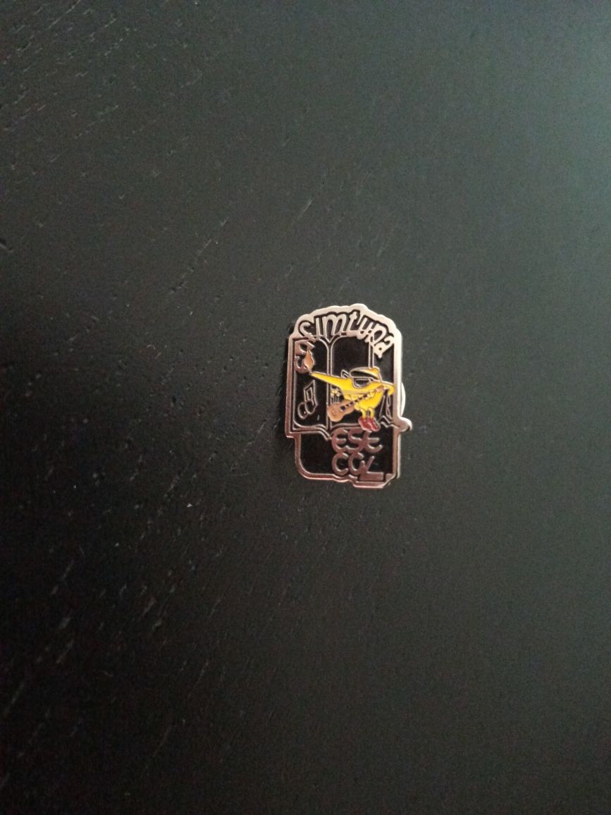 Pin Enfermagem - ESECGL