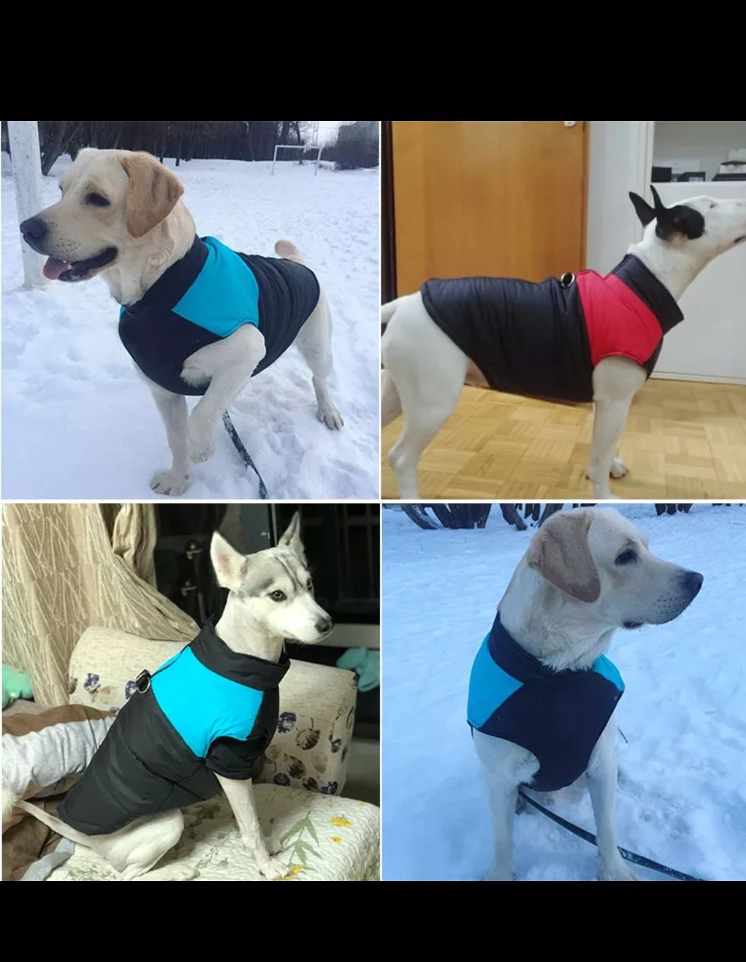 Capas novas impermeáveis para cães.